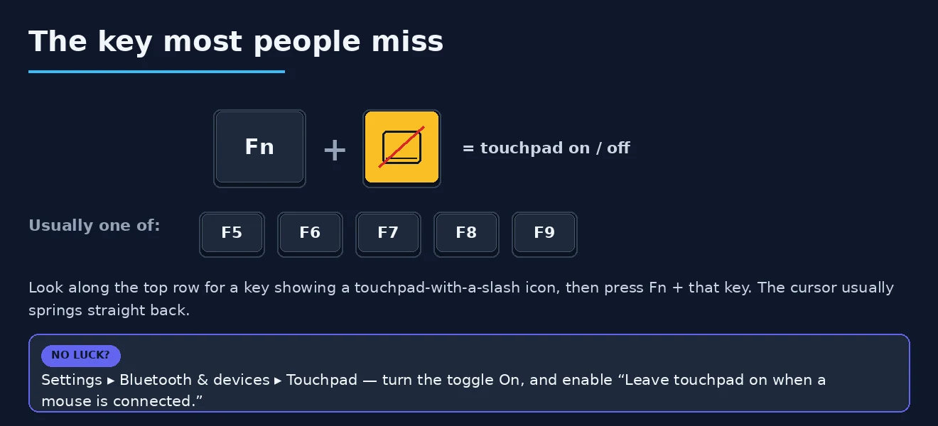 Touchpad function-key toggle Keyboard shortcut to re-enable a disabled laptop touchpad